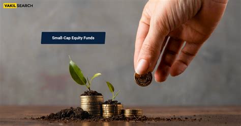 Risk – American Beacon Zebra Small Cap Eq A .